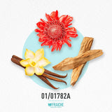 Perfume Fraiche para dama MPACRAB OLYM