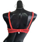 Chantelle lencería francesa bra encaje 36D