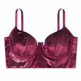 Victorias Secret the velvet bra 32D